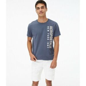 NWT 3XL Grey Aeropostale 100% Cotton Graphic Appliqued Logo T-Shirt XXXL New 3X